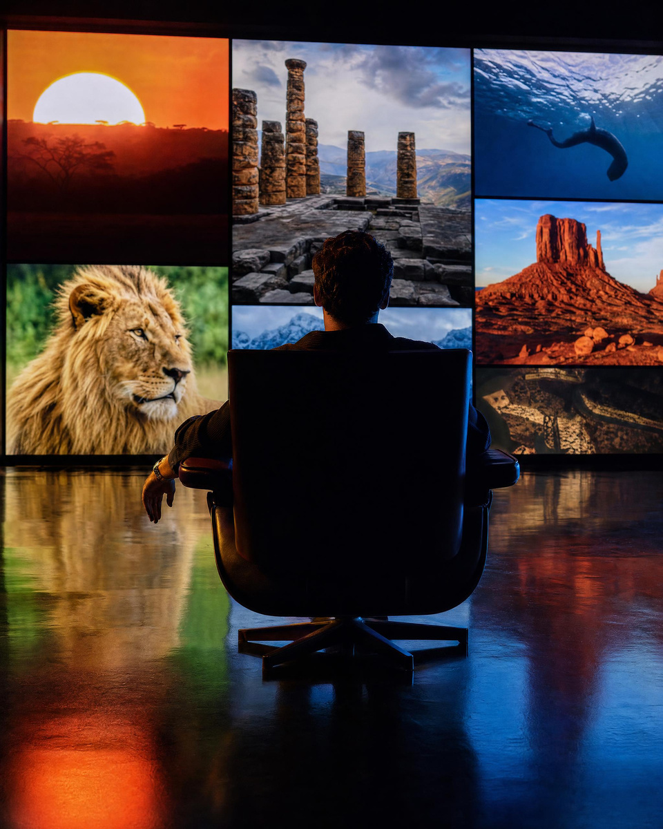 A room lit by a wall of documentaries